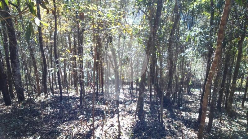 Terreno Residencial à venda em Itaipava, Petrópolis - RJ - Foto 2