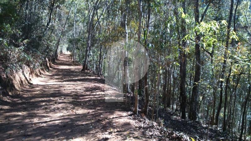 Terreno Residencial à venda em Itaipava, Petrópolis - RJ - Foto 3