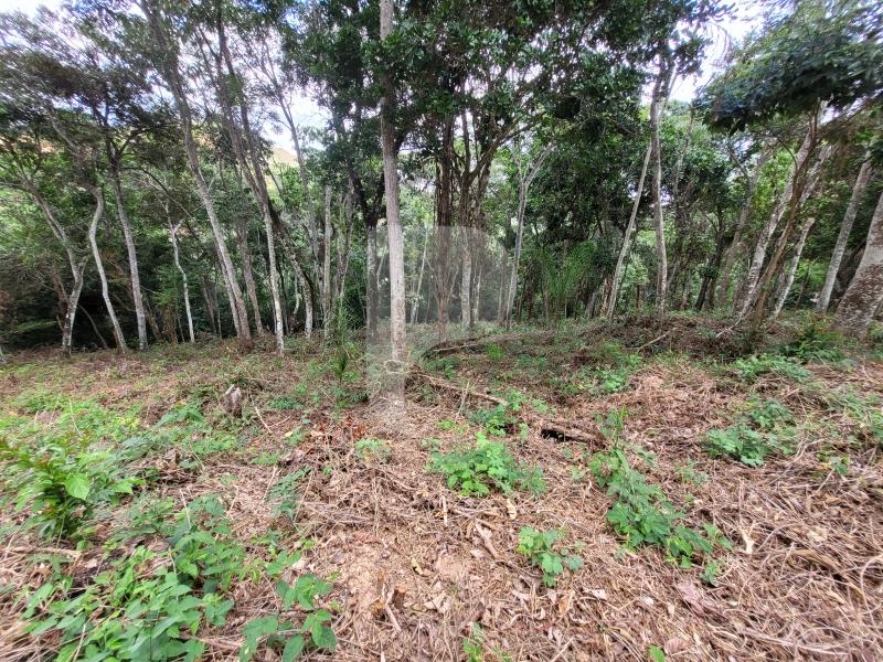 Terreno Residencial à venda em Pedro do Rio, Petrópolis - RJ - Foto 1