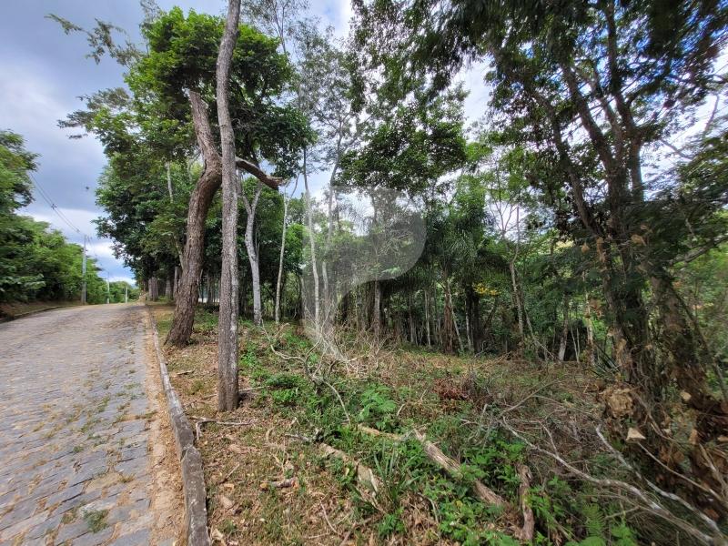 Terreno Residencial à venda em Pedro do Rio, Petrópolis - RJ - Foto 3