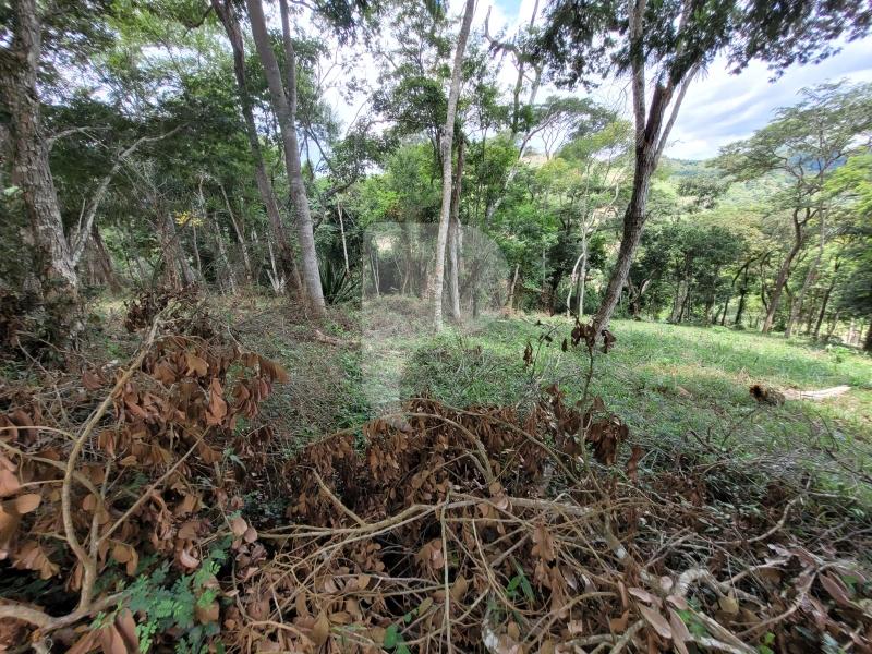 Terreno Residencial à venda em Pedro do Rio, Petrópolis - RJ - Foto 5