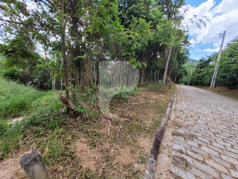 Terreno Residencial à venda em Pedro do Rio, Petrópolis - RJ - Foto 6