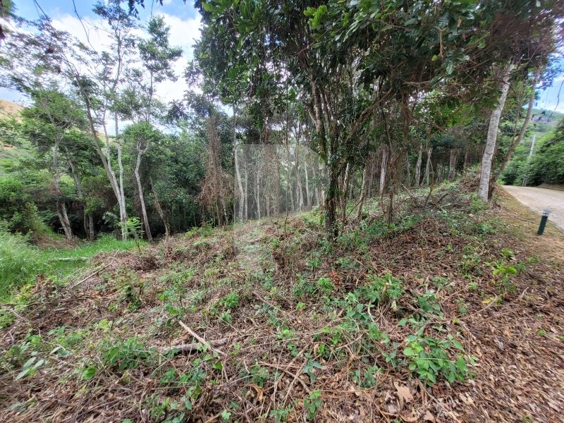 Terreno Residencial à venda em Pedro do Rio, Petrópolis - RJ - Foto 7