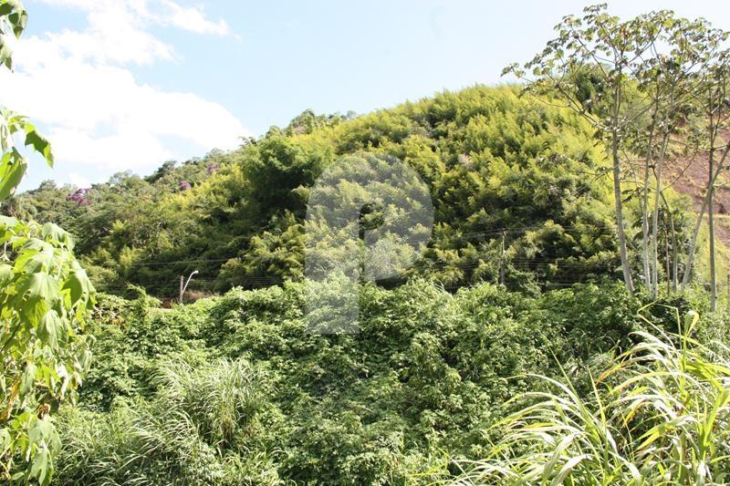 Terreno Comercial à venda em Itaipava, Petrópolis - RJ - Foto 3