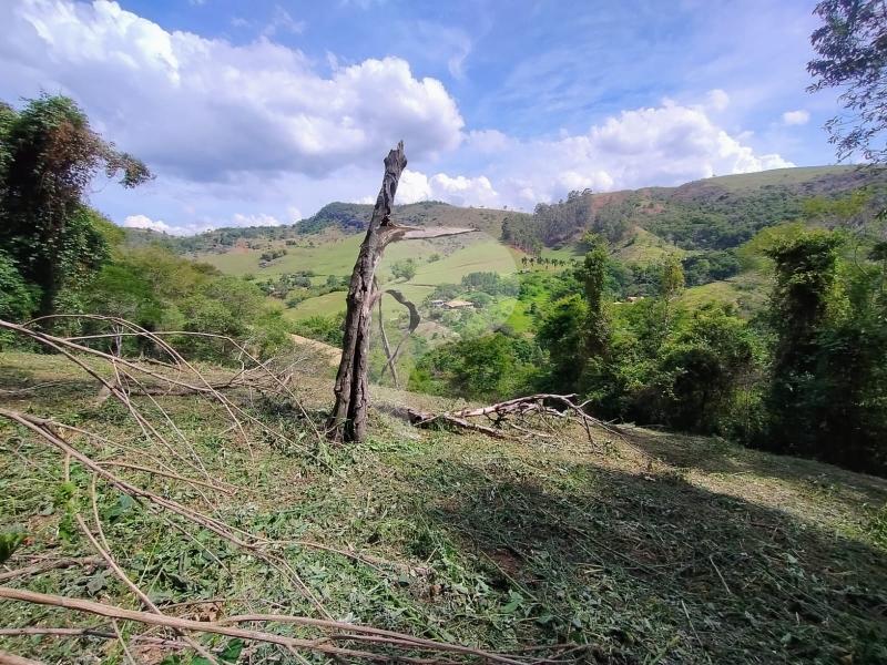 Terreno Residencial à venda em Secretário, Petrópolis - RJ - Foto 3