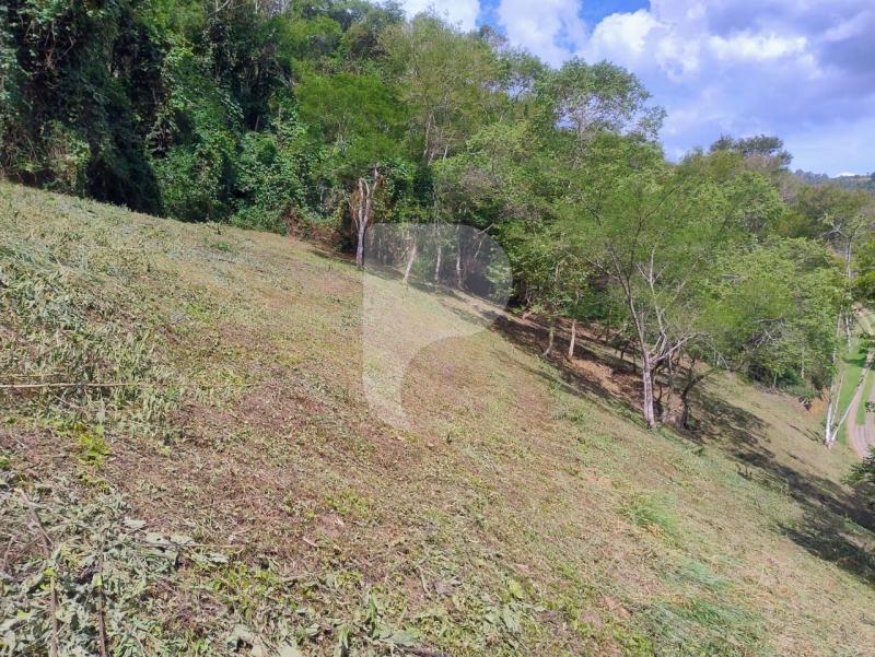 Terreno Residencial à venda em Secretário, Petrópolis - RJ - Foto 5