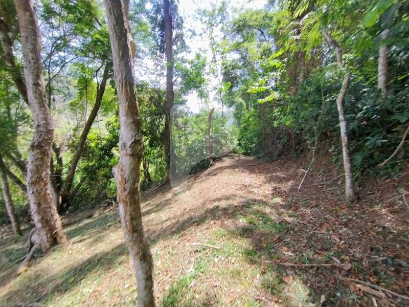 Terreno Residencial à venda em Secretário, Petrópolis - RJ - Foto 6