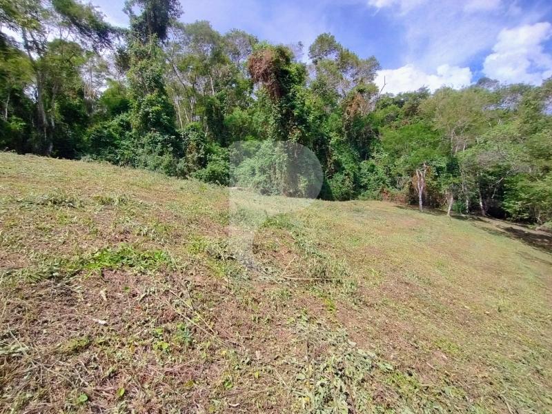Terreno Residencial à venda em Secretário, Petrópolis - RJ - Foto 8