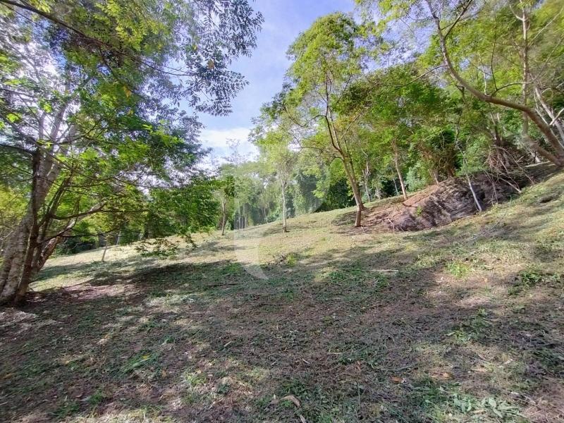 Terreno Residencial à venda em Secretário, Petrópolis - RJ - Foto 9
