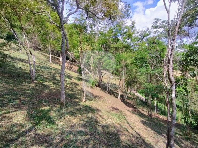 Terreno Residencial à venda em Secretário, Petrópolis - RJ - Foto 10