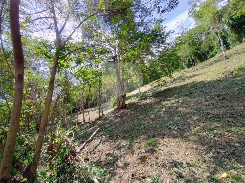 Terreno Residencial à venda em Secretário, Petrópolis - RJ - Foto 11