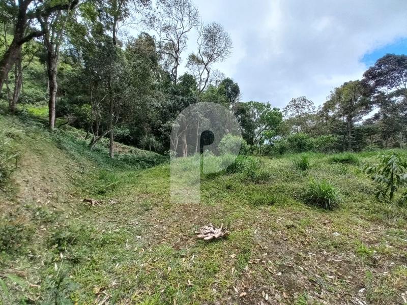 Terreno Residencial à venda em Araras, Petrópolis - RJ - Foto 2