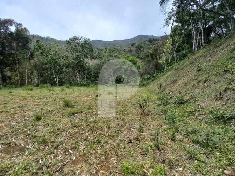 Terreno Residencial à venda em Araras, Petrópolis - RJ - Foto 3
