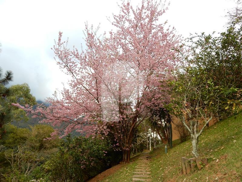 Casa à venda em Araras, Petrópolis - RJ - Foto 37