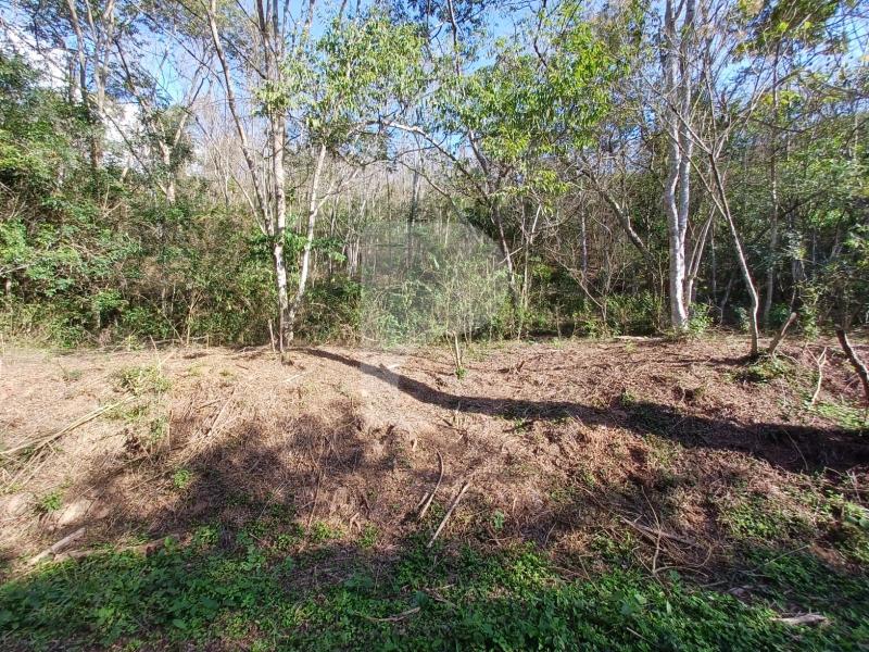 Terreno Residencial à venda em Itaipava, Petrópolis - RJ - Foto 31