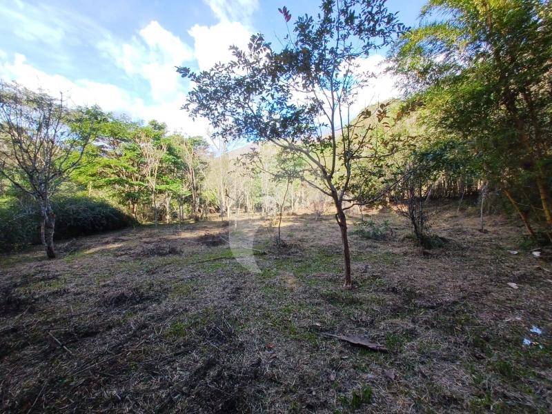 Terreno Residencial à venda em Itaipava, Petrópolis - RJ - Foto 5