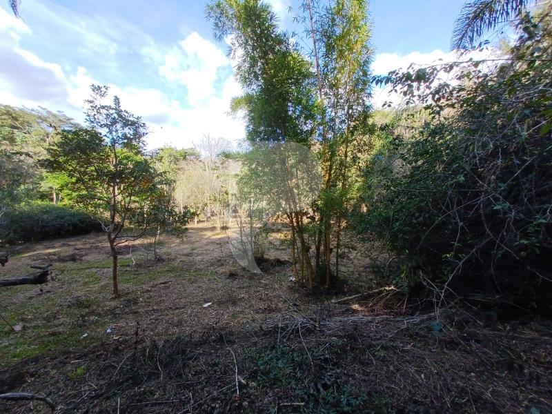 Terreno Residencial à venda em Itaipava, Petrópolis - RJ - Foto 21