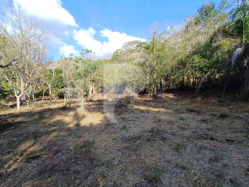 Terreno Residencial à venda em Itaipava, Petrópolis - RJ - Foto 6