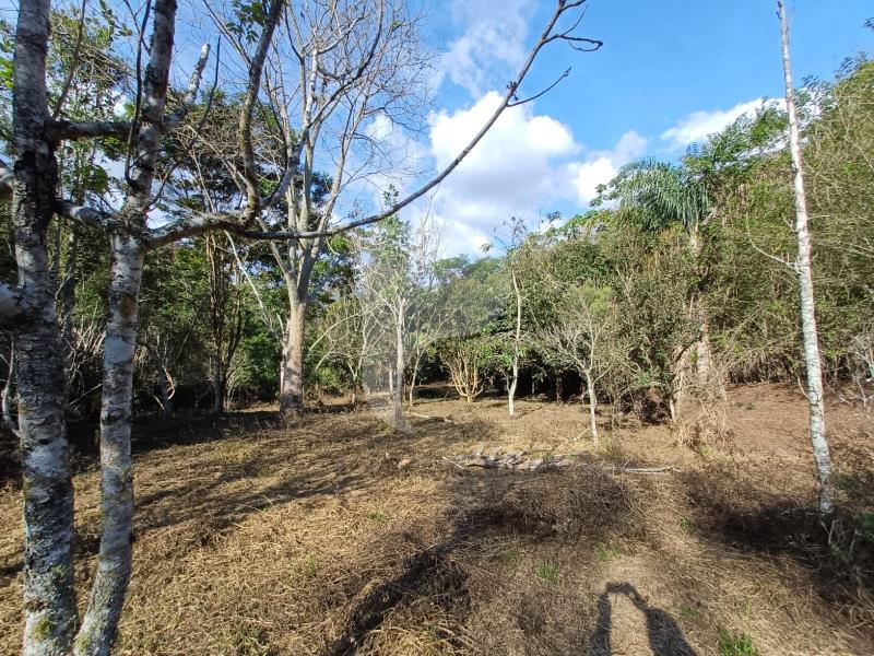 Terreno Residencial à venda em Itaipava, Petrópolis - RJ - Foto 3