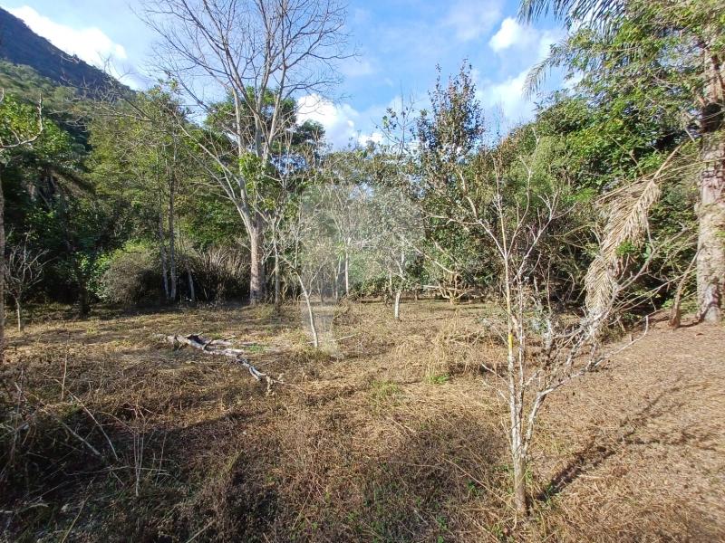 Terreno Residencial à venda em Itaipava, Petrópolis - RJ - Foto 1