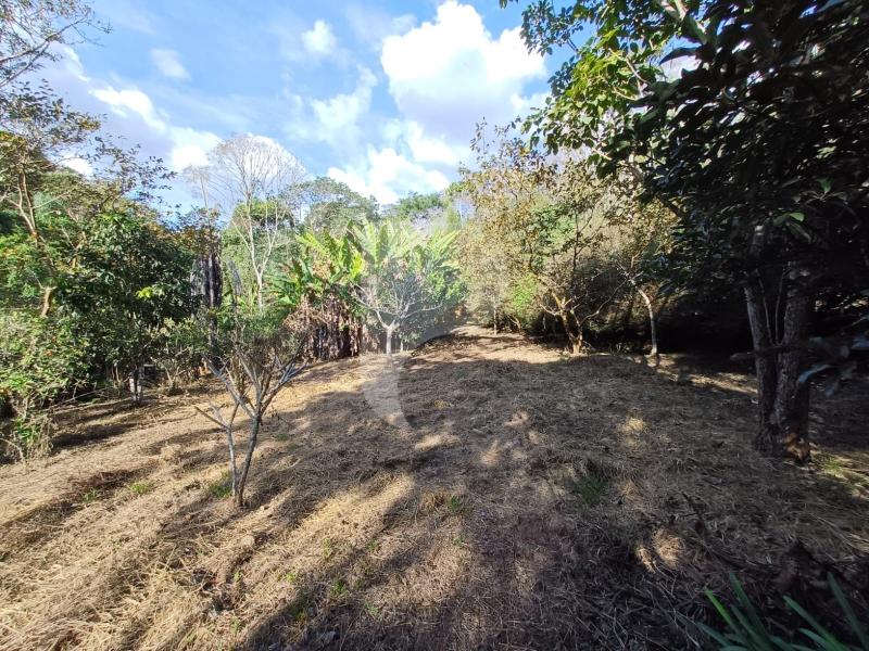 Terreno Residencial à venda em Itaipava, Petrópolis - RJ - Foto 10