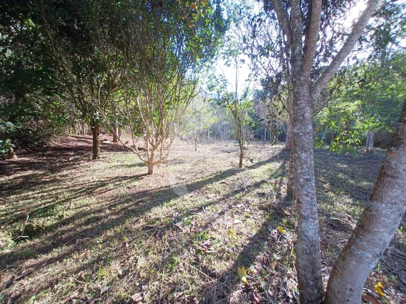 Terreno Residencial à venda em Itaipava, Petrópolis - RJ - Foto 12