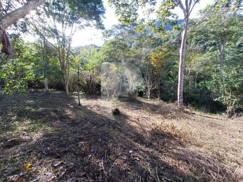 Terreno Residencial à venda em Itaipava, Petrópolis - RJ - Foto 11
