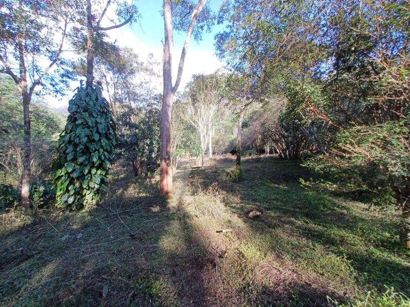 Terreno Residencial à venda em Itaipava, Petrópolis - RJ - Foto 16