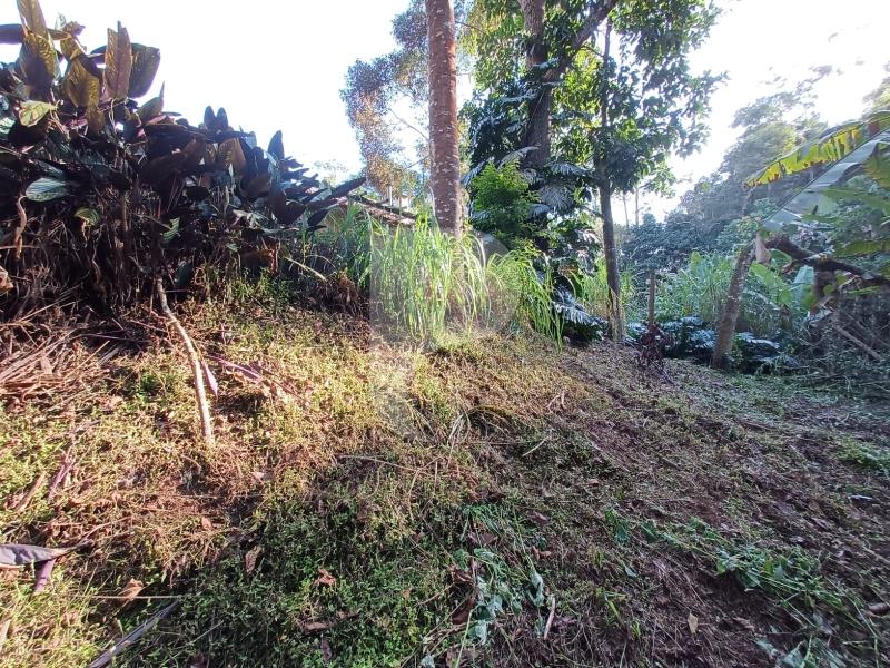 Terreno Residencial à venda em Itaipava, Petrópolis - RJ - Foto 14