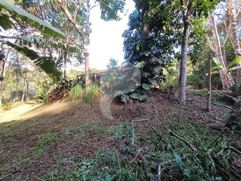 Terreno Residencial à venda em Itaipava, Petrópolis - RJ - Foto 17