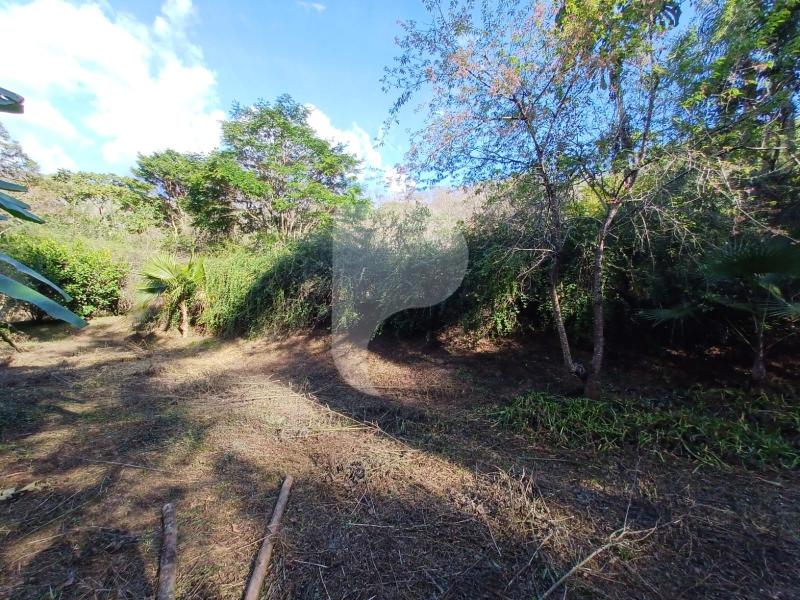 Terreno Residencial à venda em Itaipava, Petrópolis - RJ - Foto 15
