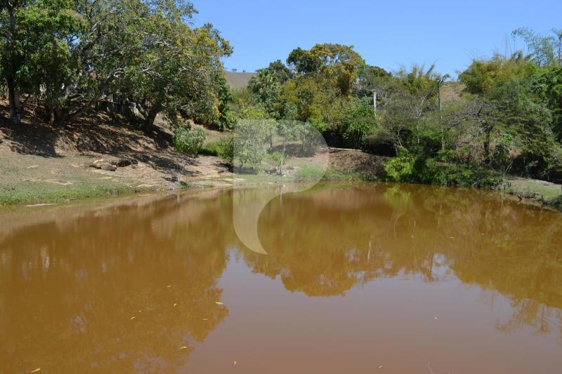 Fazenda / Sítio à venda em Bemposta, Três Rios - RJ - Foto 6