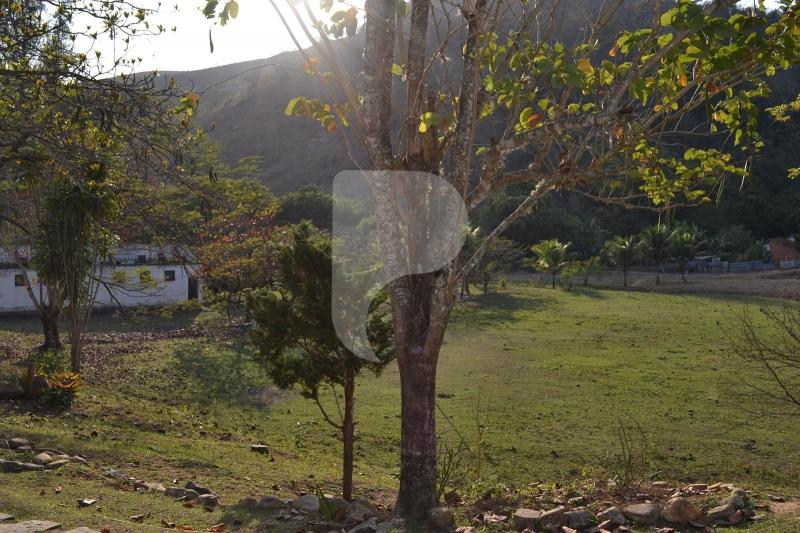 Fazenda / Sítio à venda em Bemposta, Três Rios - RJ - Foto 8