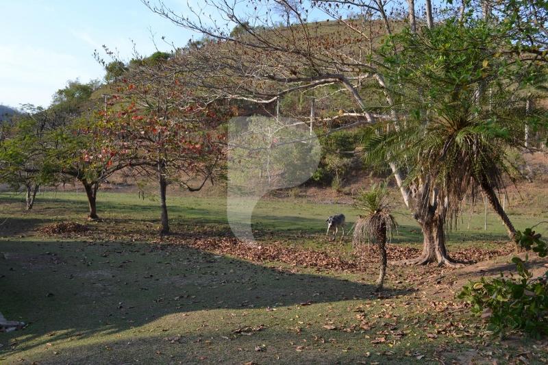 Fazenda / Sítio à venda em Bemposta, Três Rios - RJ - Foto 9