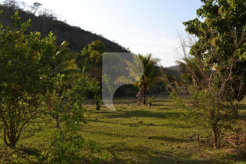 Fazenda / Sítio à venda em Bemposta, Três Rios - RJ - Foto 10