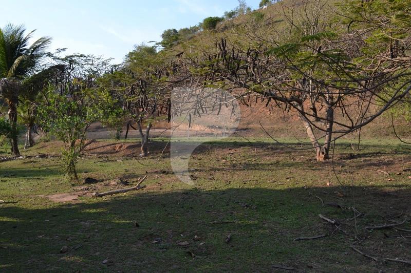 Fazenda / Sítio à venda em Bemposta, Três Rios - RJ - Foto 11