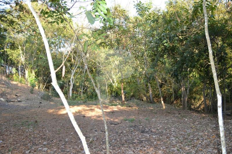 Fazenda / Sítio à venda em Bemposta, Três Rios - RJ - Foto 13