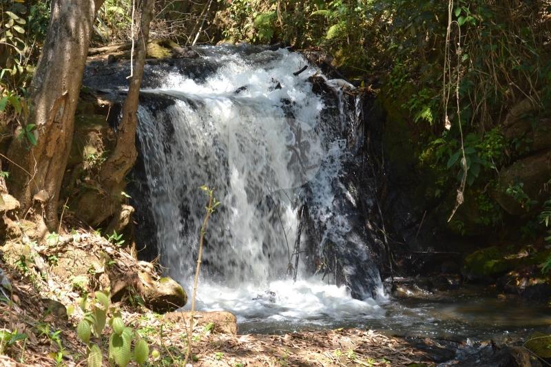 Fazenda / Sítio à venda em Bemposta, Três Rios - RJ - Foto 15