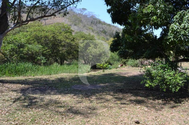 Fazenda / Sítio à venda em Bemposta, Três Rios - RJ - Foto 31