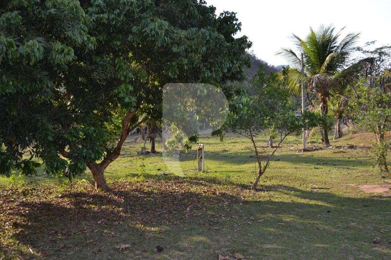 Fazenda / Sítio à venda em Bemposta, Três Rios - RJ - Foto 32