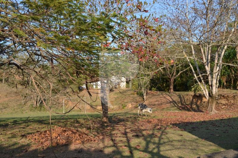 Fazenda / Sítio à venda em Bemposta, Três Rios - RJ - Foto 33