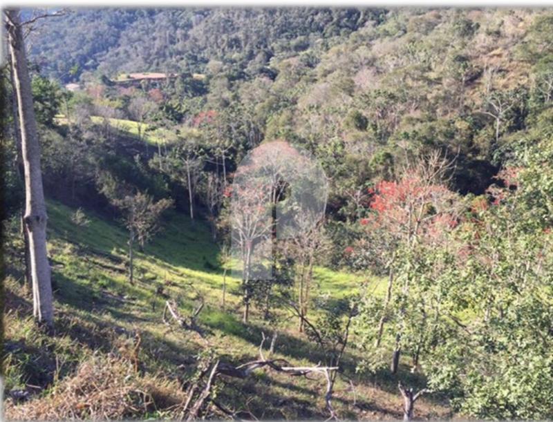 Terreno Residencial à venda em Itaipava, Petrópolis - RJ