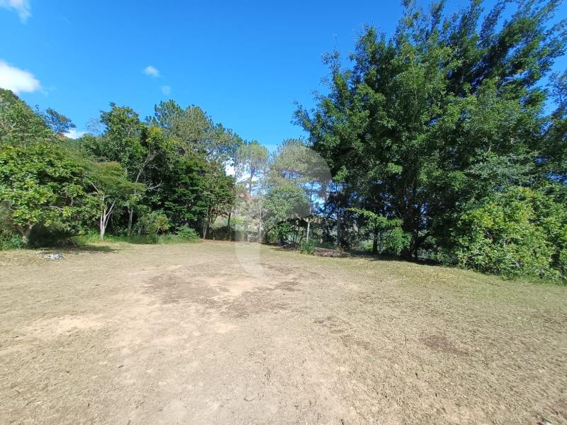 Terreno Residencial à venda em Itaipava, Petrópolis - RJ - Foto 13