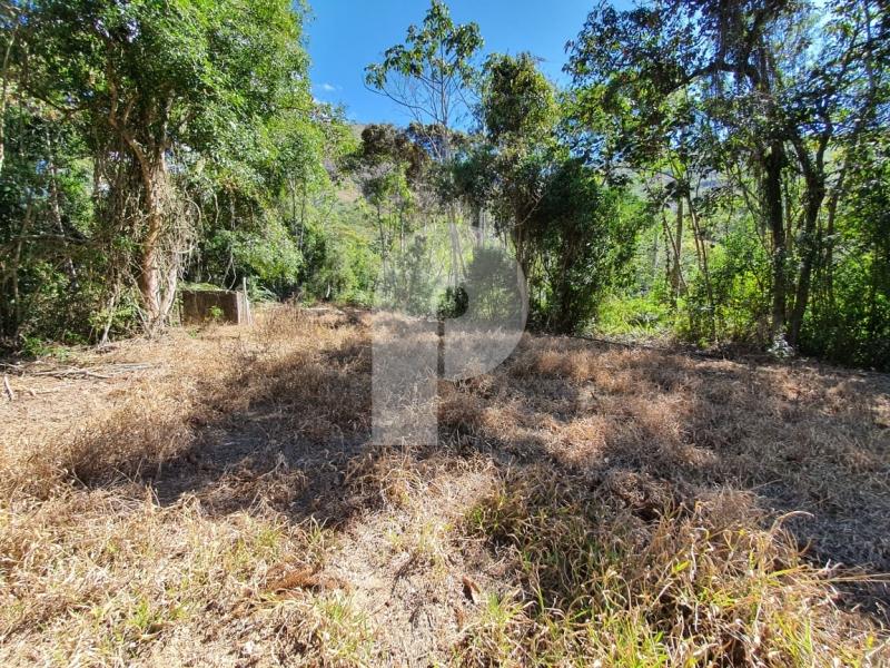 Fazenda / Sítio à venda em Posse, Petrópolis - RJ - Foto 4