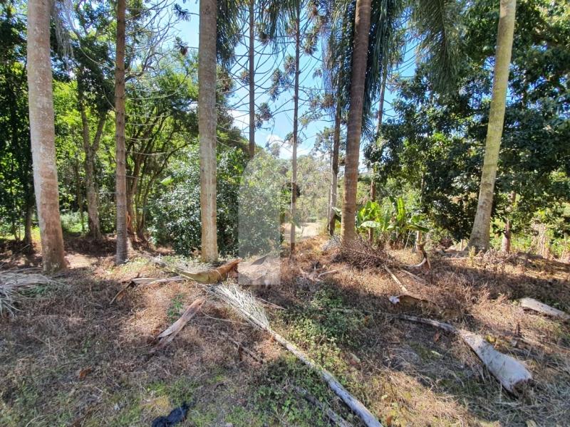 Fazenda / Sítio à venda em Posse, Petrópolis - RJ - Foto 5