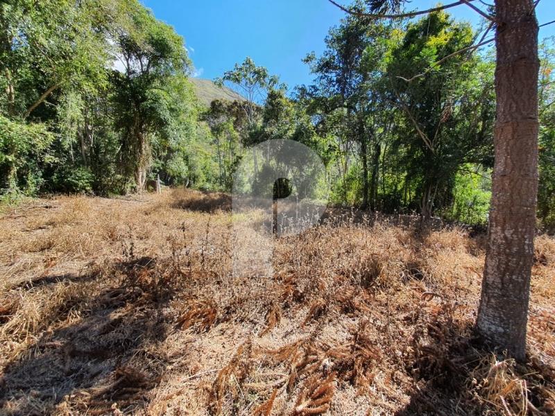 Fazenda / Sítio à venda em Posse, Petrópolis - RJ - Foto 7