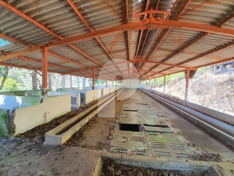Fazenda / Sítio à venda em Posse, Petrópolis - RJ - Foto 14