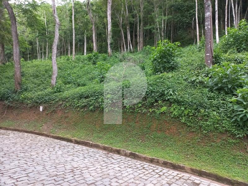 Terreno Residencial à venda em Pedro do Rio, Petrópolis - RJ - Foto 1