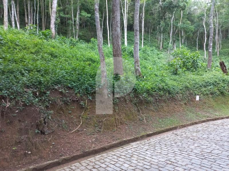 Terreno Residencial à venda em Pedro do Rio, Petrópolis - RJ - Foto 3
