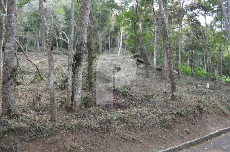 Terreno Residencial à venda em Pedro do Rio, Petrópolis - RJ - Foto 1